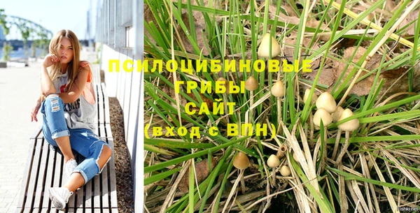 дурь Вяземский